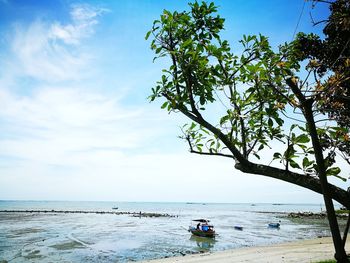 Scenic view of sea against sky