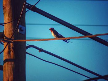 Low angle view of rope against blue sky