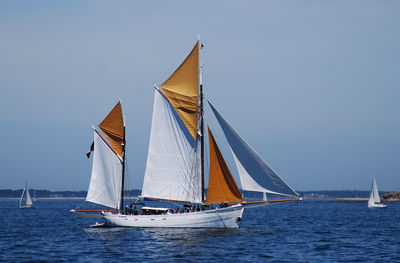 Sailboats sailing on sea against clear sky