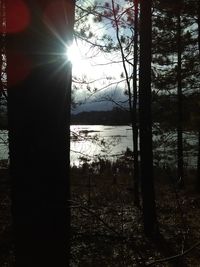 Scenic view of trees against sky