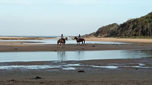 People riding horse on beach