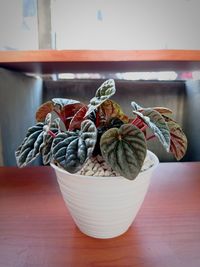 Close-up of fruits on table