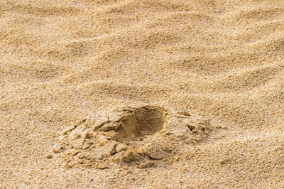 High angle view of footprint on sand at beach