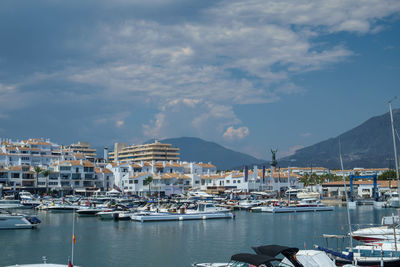 Sailboats moored in harbor