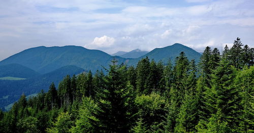 Scenic view of trees and mountains against sky