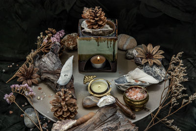 High angle view of various flowers on table