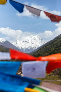 Close-up of bunting against snowcapped mountains