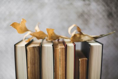 Close-up of dried leaf on a stack of old, vintage books