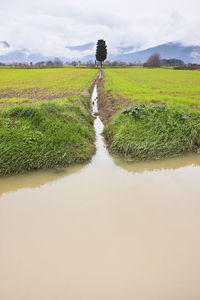 Scenic view of land against sky