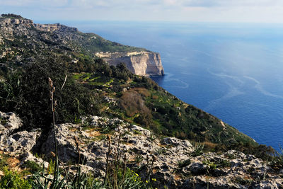 White dingli cliffs - the highest cliffs on the island of malta