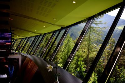 Reflection of trees on glass window