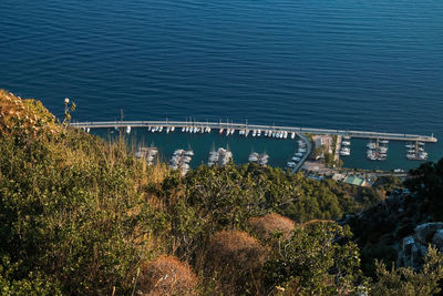 High angle view of plants by sea