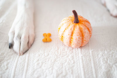 High angle view of orange on white table