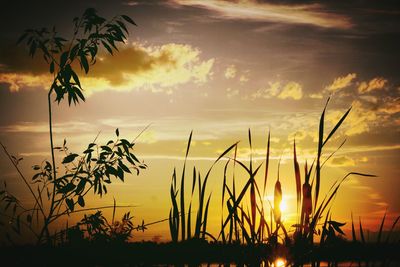 Scenic view of sunset over sea