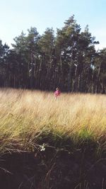 People walking on grassy field