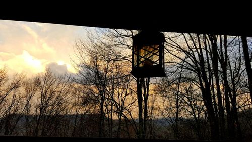 Low angle view of silhouette trees against sky during sunset