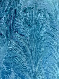 Full frame shot of feather