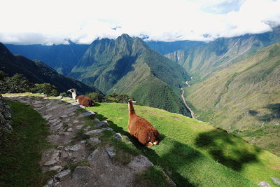 Scenic view of mountains against cloudy sky