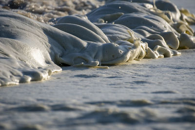 Close-up of foam on beach