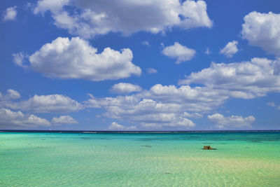 Beautiful coral reef sea in okinawa