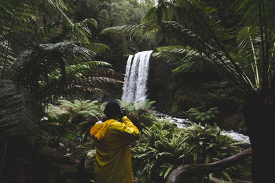 Rear view of boy looking at waterfall