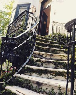 Close-up of steps against building
