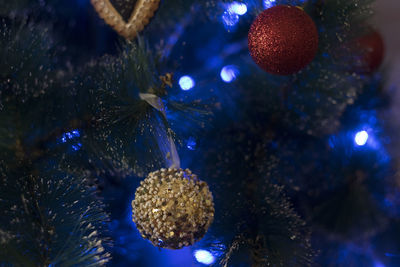 Close-up of jellyfish in sea