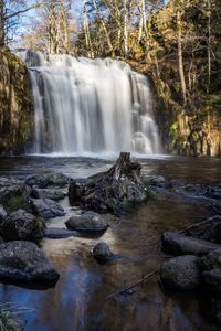 Scenic view of waterfall in forest