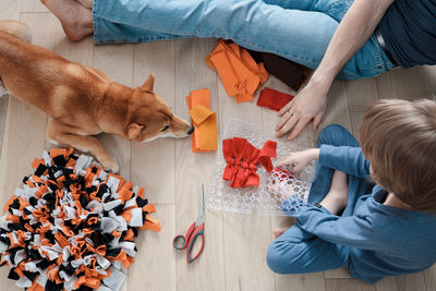 Cute preschooler boy and dad making diy snuffle mats for their pets, domestic cat and dog