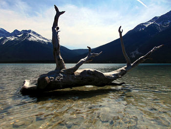 Scenic view of lake with mountains in background