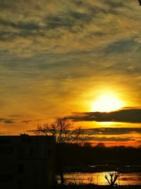 Silhouette of bare trees at sunset