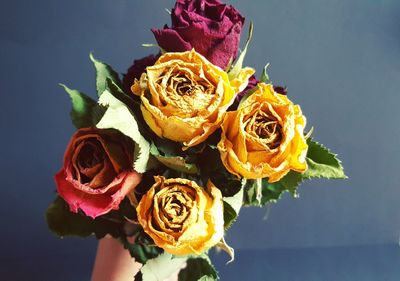 Close-up of rose bouquet