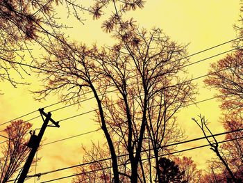 Low angle view of silhouette trees against sky during sunset