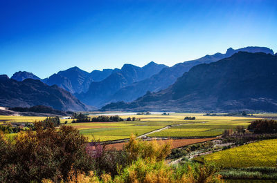 Scenic view of field against clear blue sky