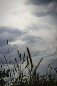 Storm clouds in sky