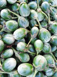 Full frame shot of eggplants for sale at market