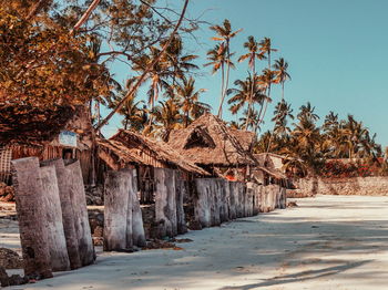 The white sands of uroa beach, uroa bay, zanzibar