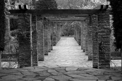 Walkway amidst trees