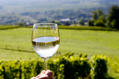 Close-up of hand holding wineglass on field against sky