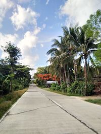 Street amidst palm trees against sky