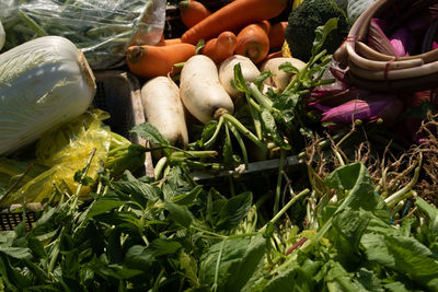 High angle view of chopped vegetables on plants