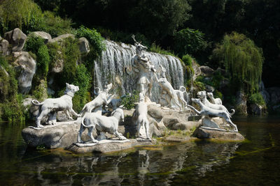 View of birds in the lake