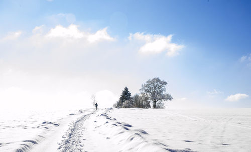 Trees on snow covered field against sky