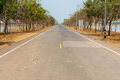 Surface level of road along trees