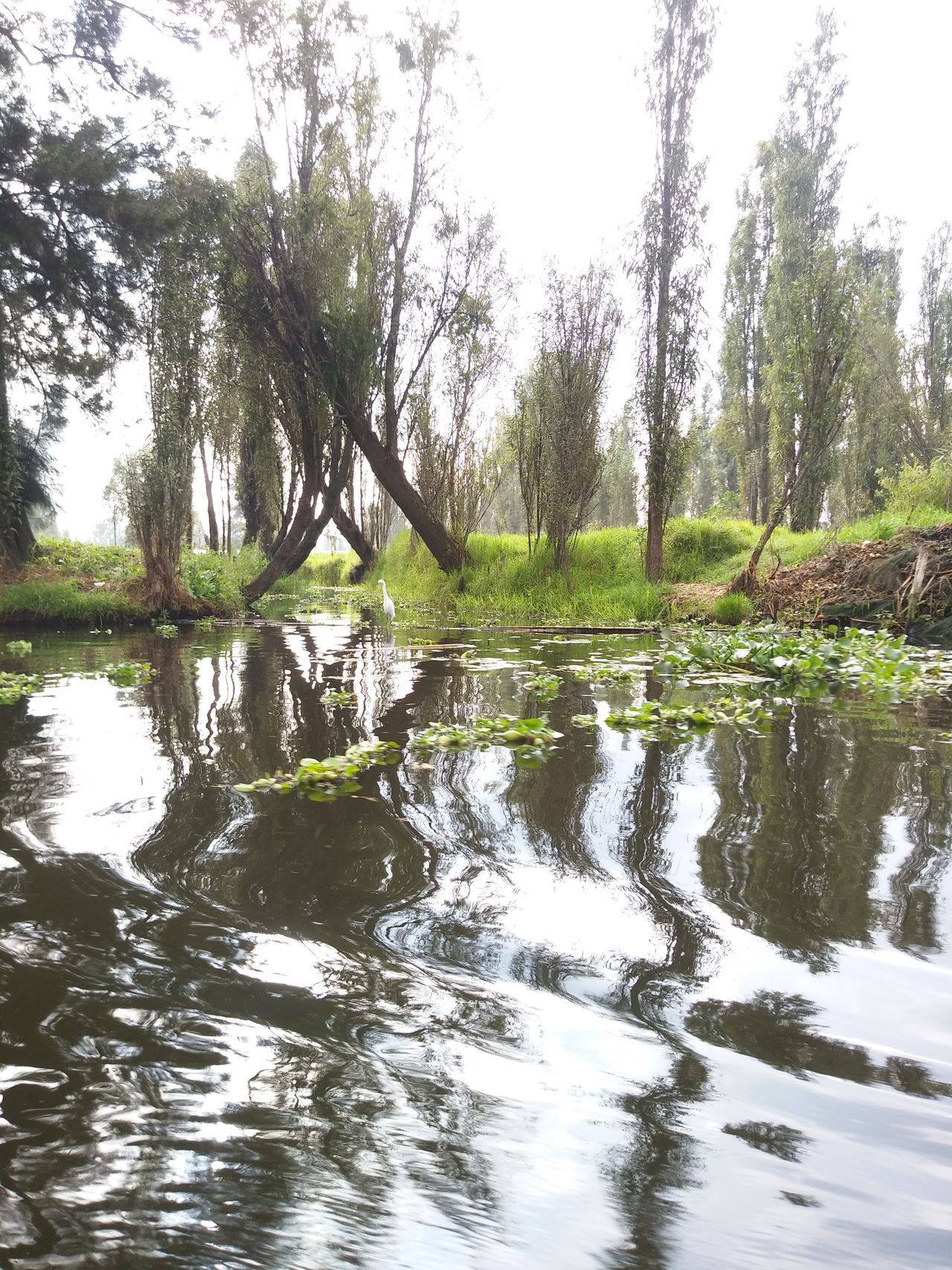 La Llorona En Xochimilco