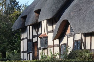 Low angle view of thatched roofed cottage and trees against sky