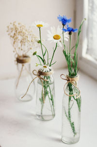 Close-up of flower vase on table