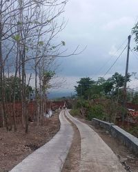 Road passing through trees