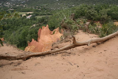 Scenic view of land