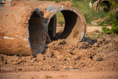 View of tire tracks on road